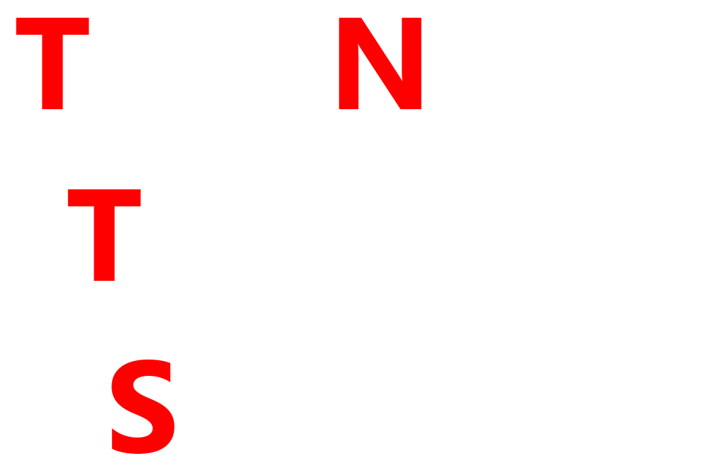 True North Technical Services